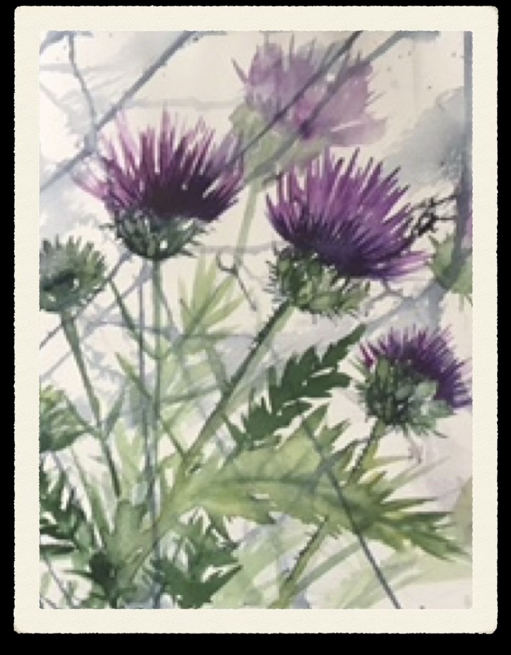 lila blommor