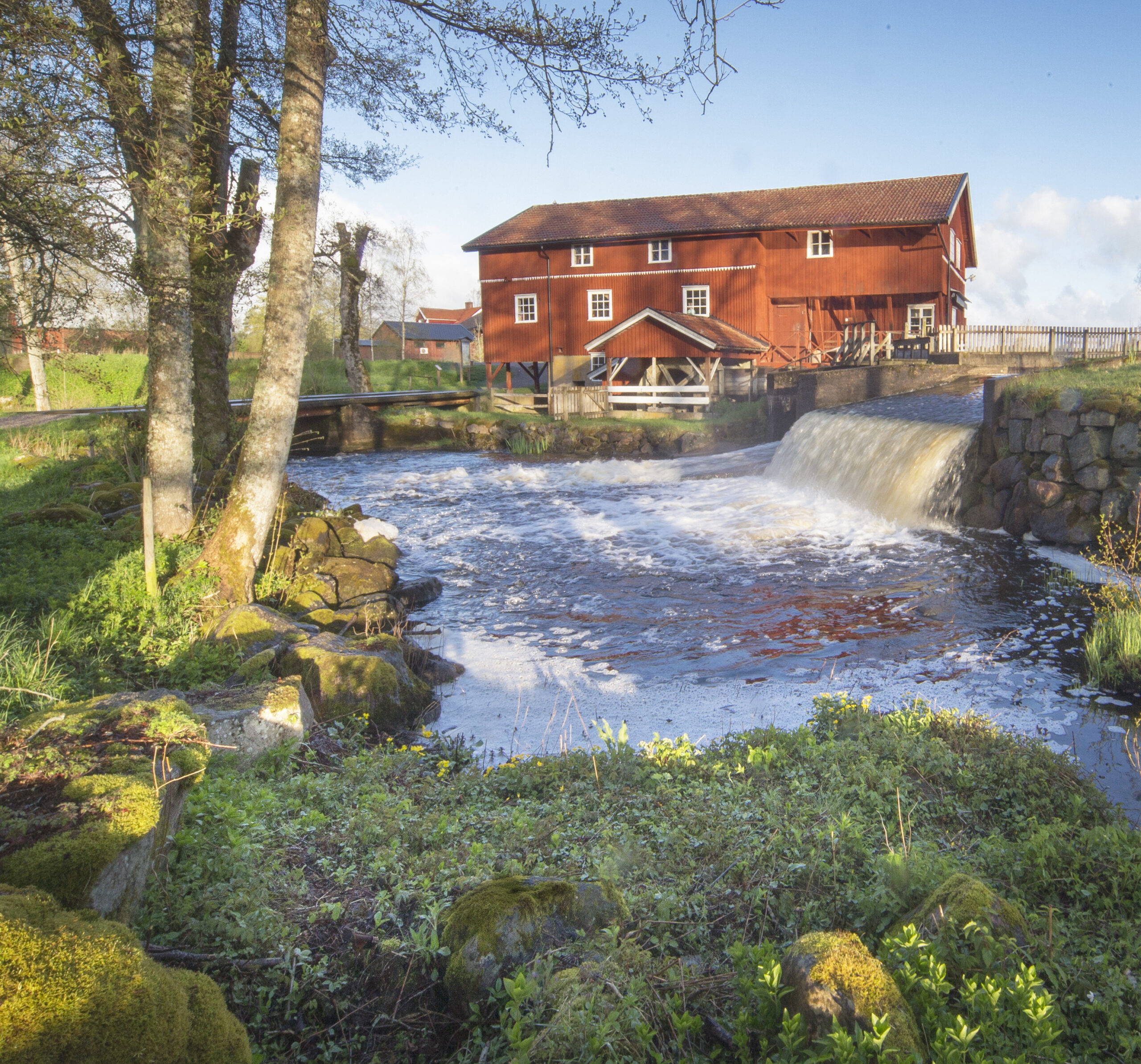 Hus på landet vid vatten och skog
